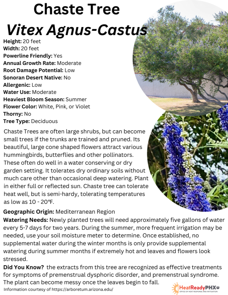 Chaste Tree